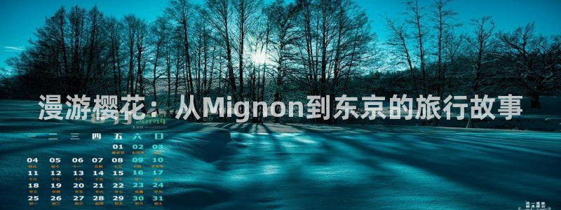 omofun动漫视频网：漫游樱花：从Mignon到东京的旅行故事