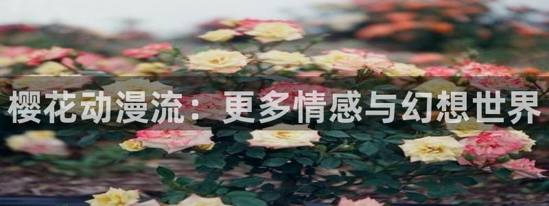 动漫omofun下载：樱花动漫流：更多情感与幻想世界
