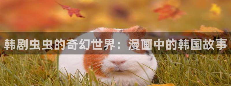 omofun动漫：韩剧虫虫的奇幻世界：漫画中的韩国故事