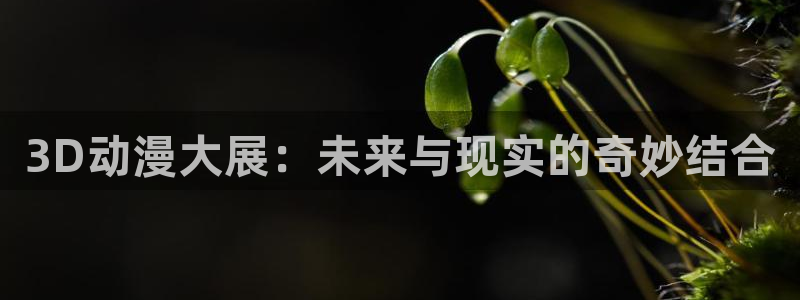omofun动漫官网网址：3D动漫大展：未来与现实的奇妙结合