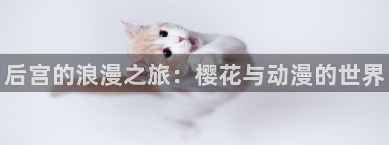 omofun. link：后宫的浪漫之旅：樱花与动漫的世界