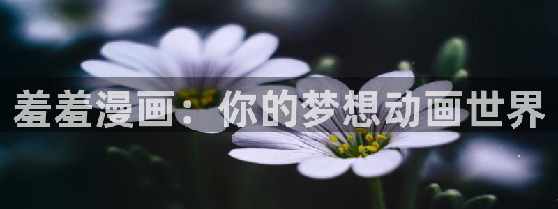 omofunpc：羞羞漫画：你的梦想动画世界