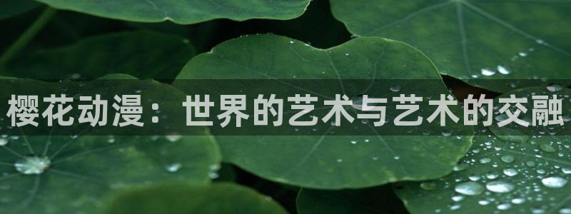 omofun动漫动漫：樱花动漫：世界的艺术与艺术的交融