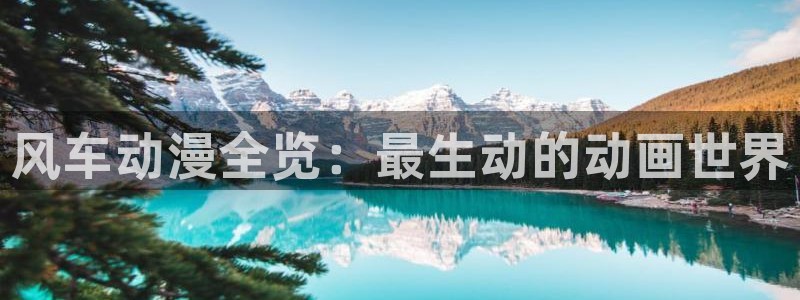 omofun老版本下载：风车动漫全览：最生动的动画世界