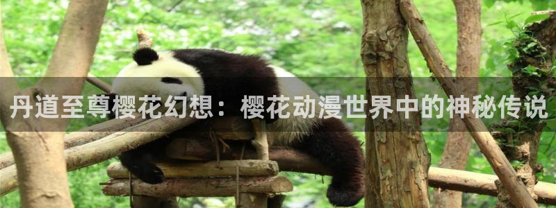 omofun动漫最新版下载：丹道至尊樱花幻想：樱花动漫世界中的神秘传说