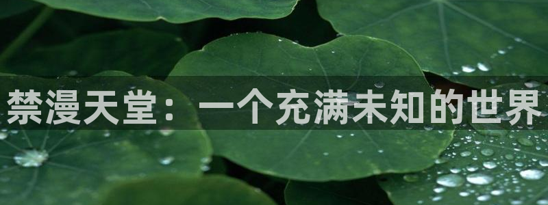 omofun. t：禁漫天堂：一个充满未知的世界