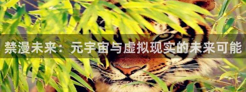 omofun官方正版：禁漫未来：元宇宙与虚拟现实的未来可能