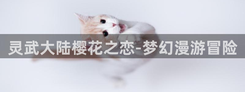 omofun网页版官网：灵武大陆樱花之恋-梦幻漫游冒险