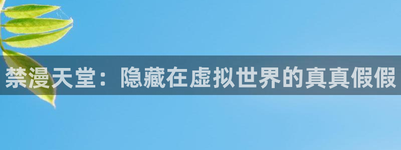 omofun轻量版：禁漫天堂：隐藏在虚拟世界的真真假假