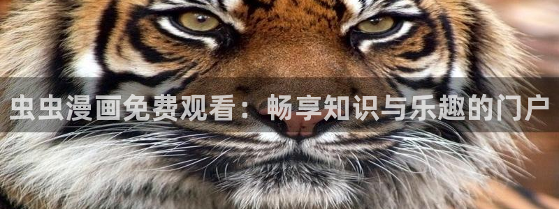 omofun动漫最新版本：虫虫漫画免费观看：畅享知识与乐趣的门户